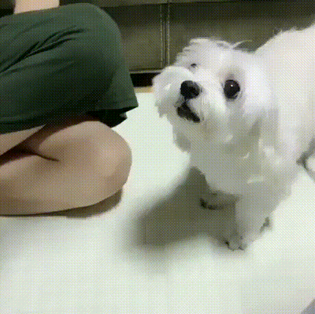 우정의 맹세.gif | 인스티즈