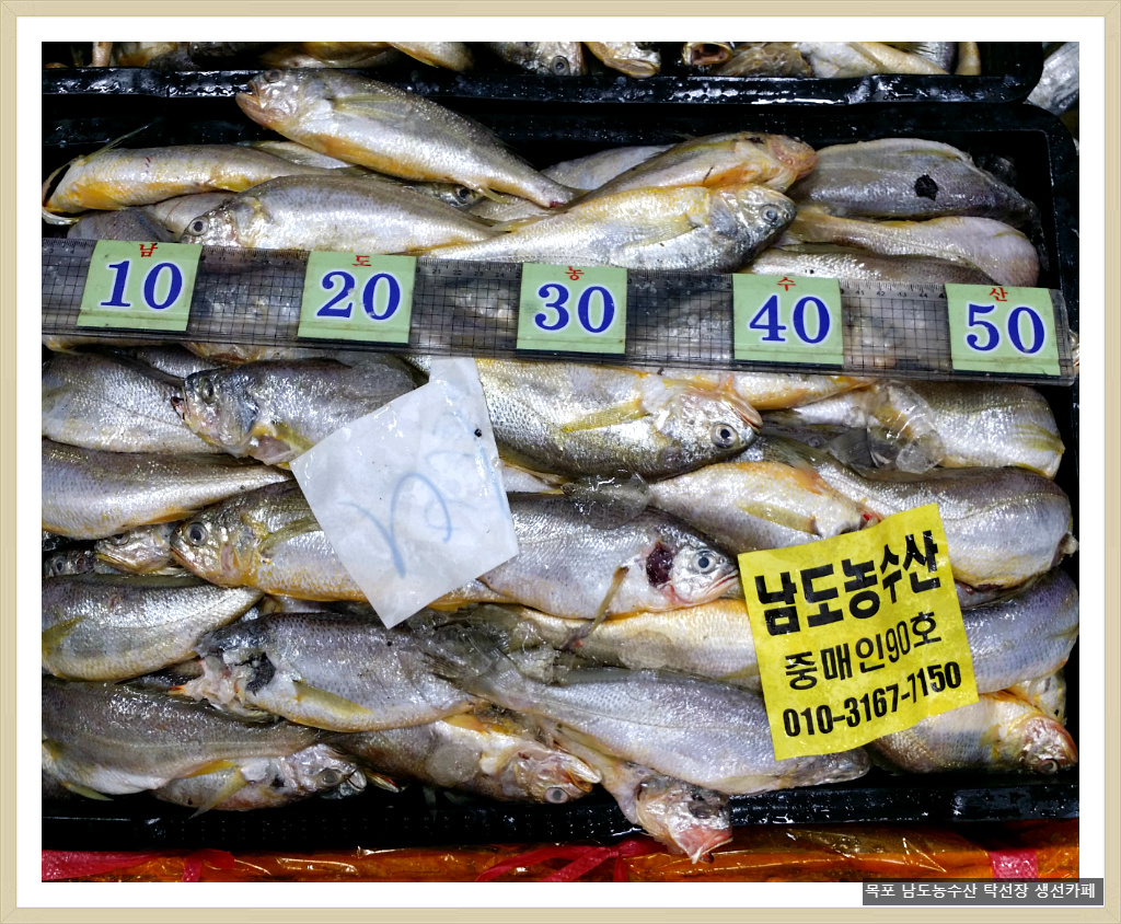 환이조아 이미지
