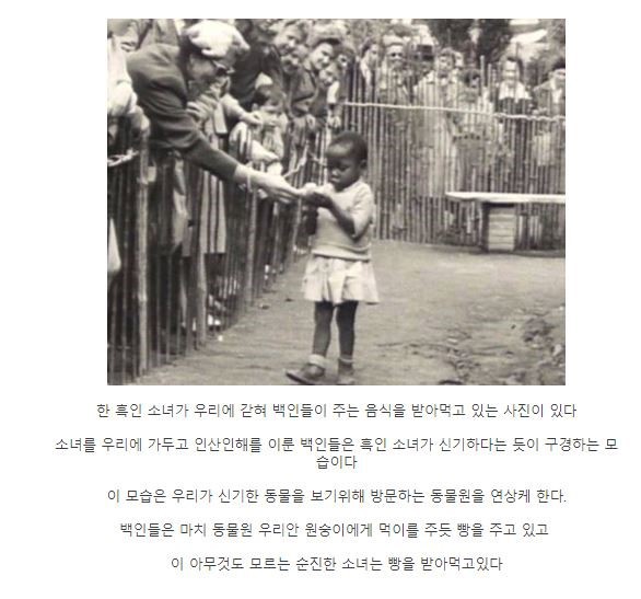 인간 동물원 | 인스티즈