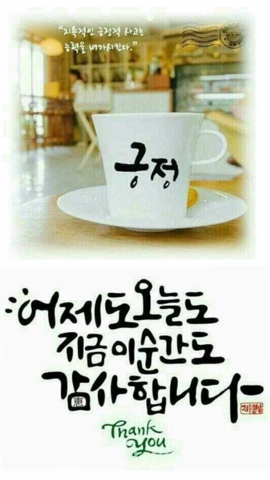 요기내 이미지