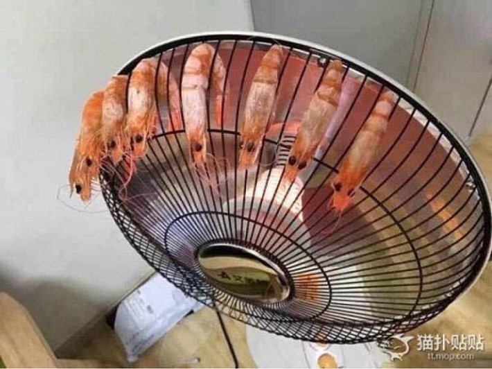 신박한 새우구이 ㅋㅋㅋㅋㅋ.jpg | 인스티즈