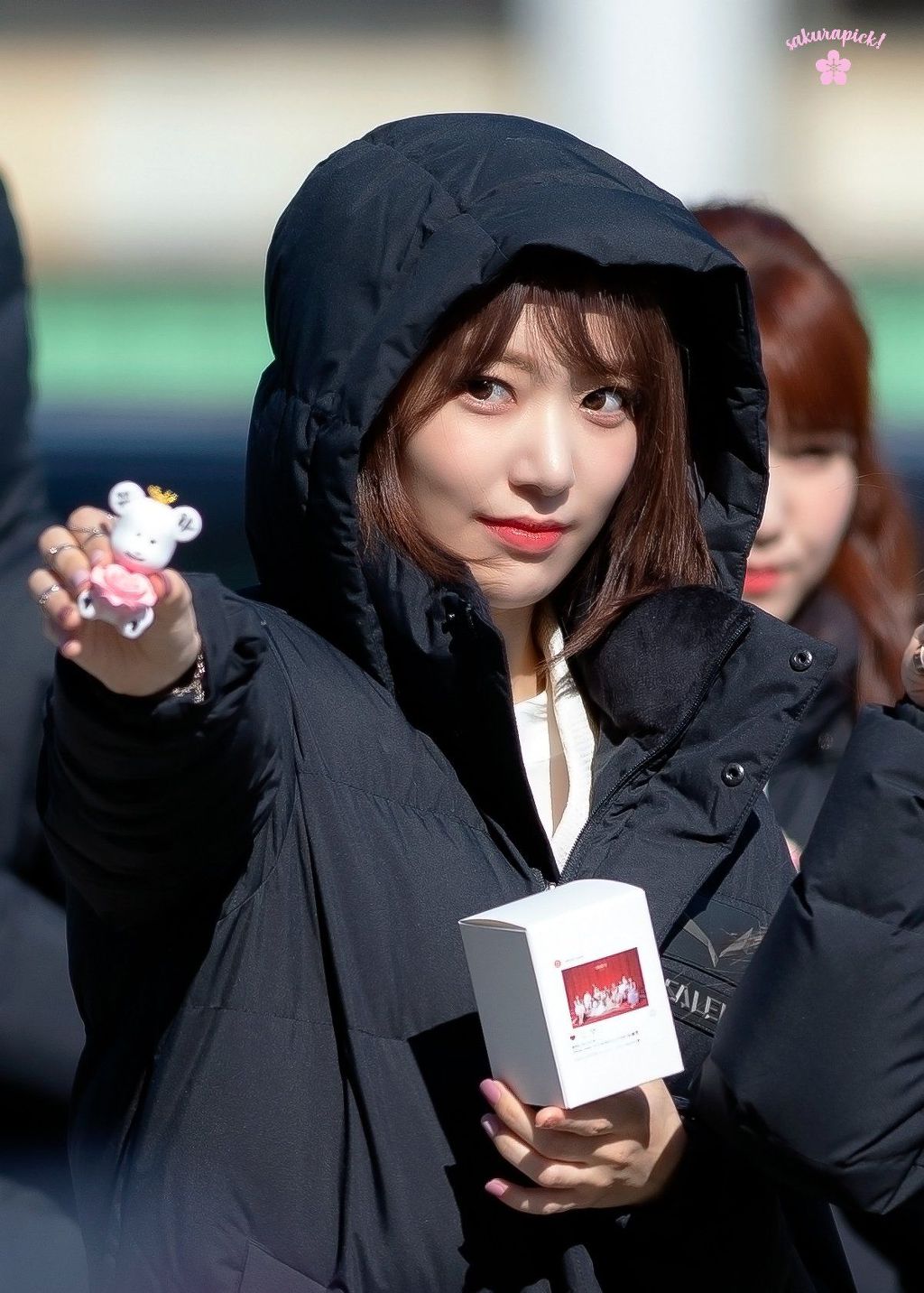 짬으로만 따지면 에이핑크급인 아이즈원 사쿠라의 카메라 포착능력.gif | 인스티즈
