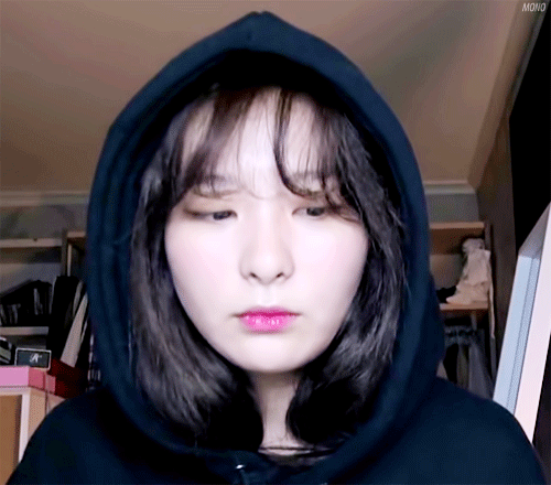 레드벨벳 분위기 담당 | 인스티즈