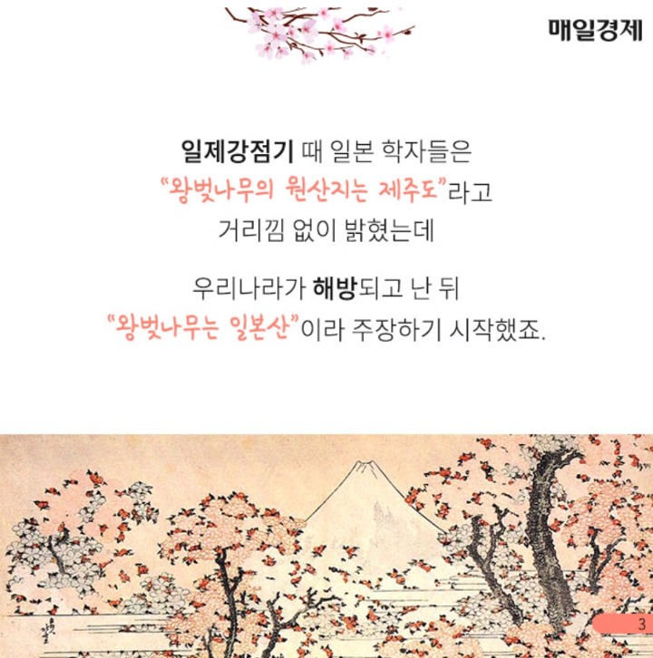일본이 원조라고 착각해온 것들 | 인스티즈
