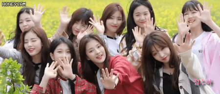 오늘은 프로미스나인이 결성된 1년되는 날!! | 인스티즈