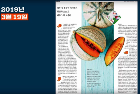 신문사가 돈을 버는 방법(조선일보,자한당) | 인스티즈