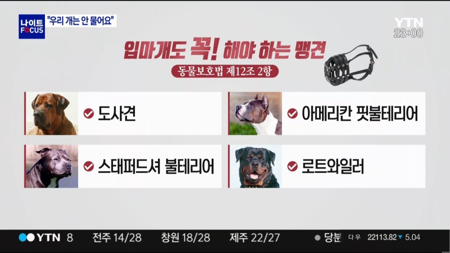 입마개 꼭 해야하는 맹견들 | 인스티즈