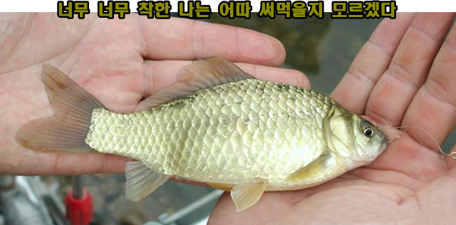 찬물도랑 이미지