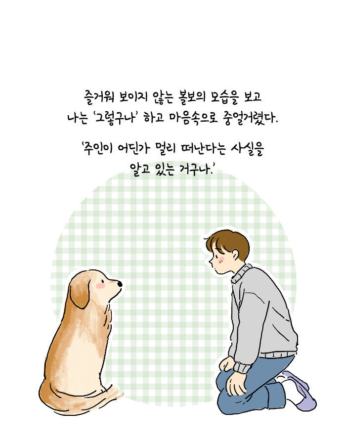 [책소개] 어쩌다보니 대형 댕댕이랑 같이 살게 됨 | 인스티즈