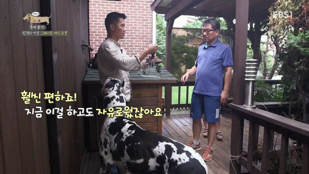 반려견의 입마개 거부감 없애는 팁 .gif | 인스티즈