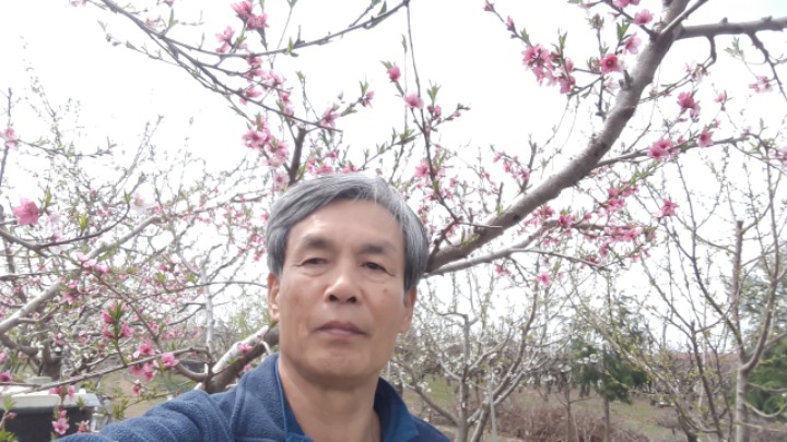 봄꽃농장 이미지