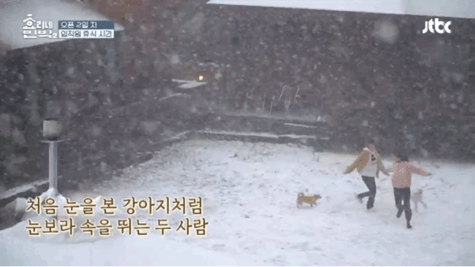 [효리네민박2] 2화에서 많은 사람들이 힐링한 장면.gif | 인스티즈