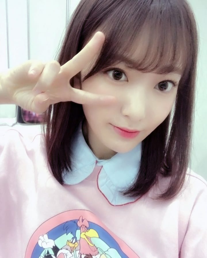 사쿠라 인스타 (아이즈원) | 인스티즈