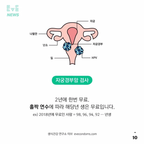 보지/자지 건강에 관심이 많은 당신에게 | 인스티즈