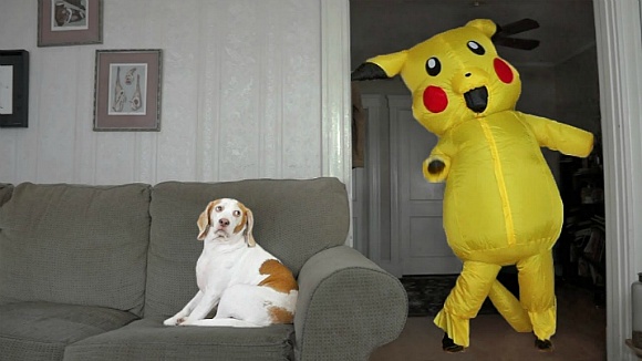 주인이 이상하다 | 인스티즈