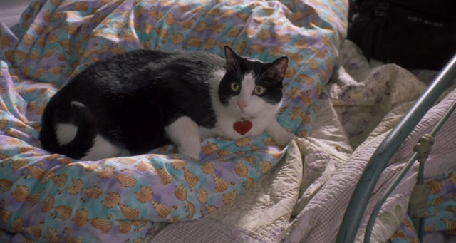 영화 더 프린세스 다이어리.jpgif (The Princess Diaries 2001) | 인스티즈