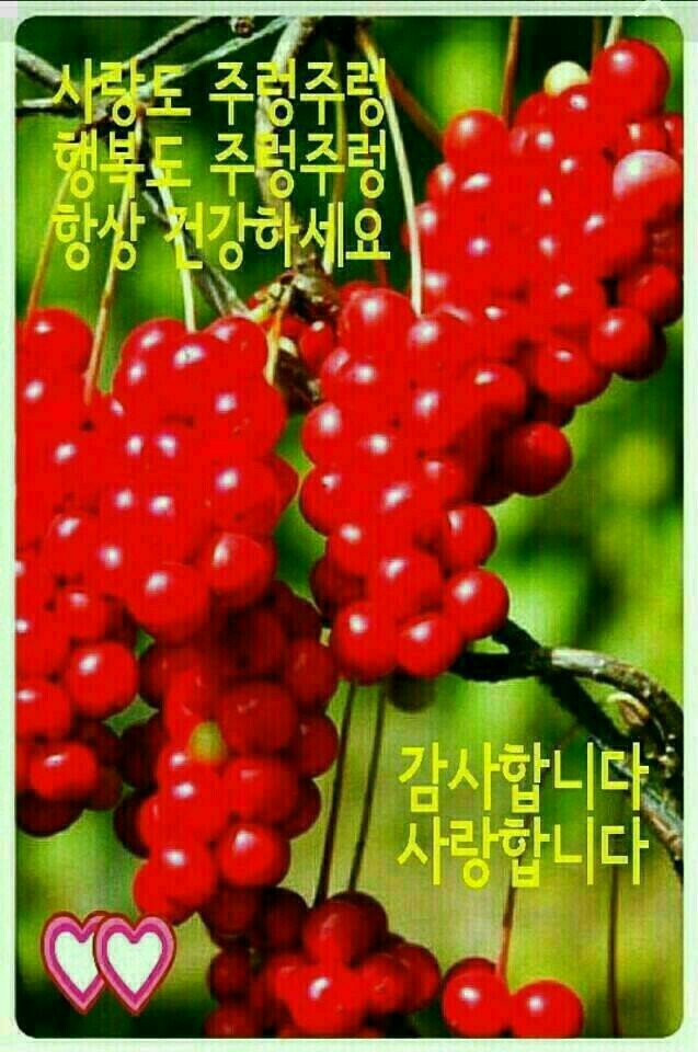 투고그린 이미지