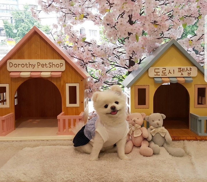 전교꼴등 사법고시 합격하다 | 인스티즈