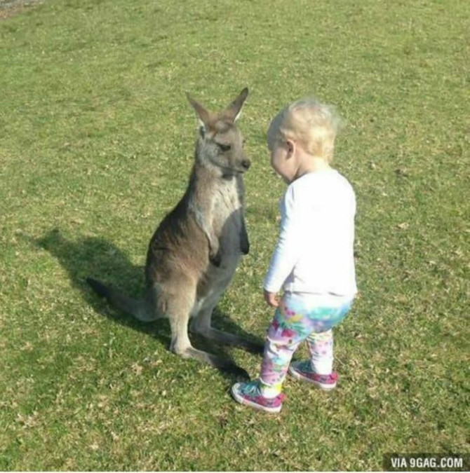 이글 좀 보고 가세요 | 인스티즈
