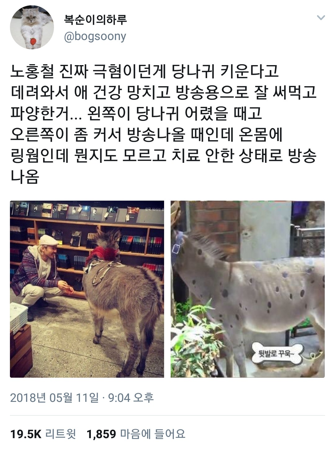 노홍철 진짜 난감이던게 당나귀 키운다고 데려와서 건강 망치고 방송용으로 잘 써먹고 파양한거 | 인스티즈