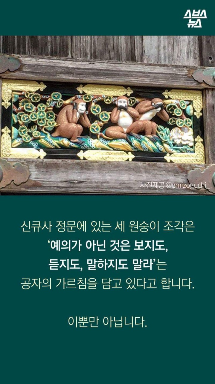 🙊🙉🙈 이원숭이 이모티콘에 심오한 뜻이.. | 인스티즈