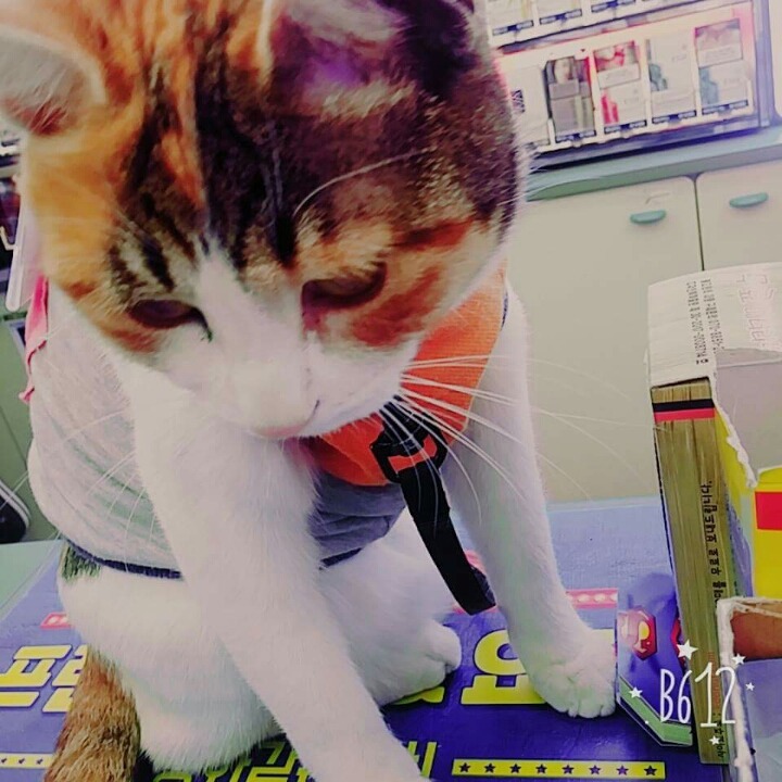 어린(?) 나이에 편의점 점장이 되었다 | 인스티즈