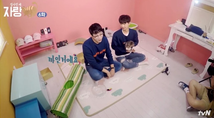 고양이랑 인사하는 법.jpg | 인스티즈