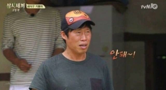 집에서 반려견이 안보일때 찾는법 | 인스티즈