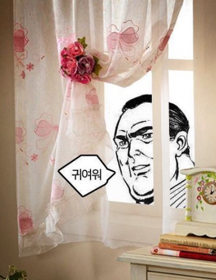 주인.. 이거 좀 작지 않아? | 인스티즈