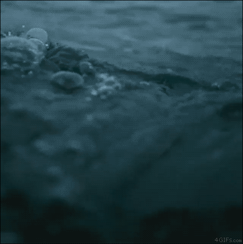 바다에서 조난당한 사람이 마지막으로 보는 광경.gif | 인스티즈