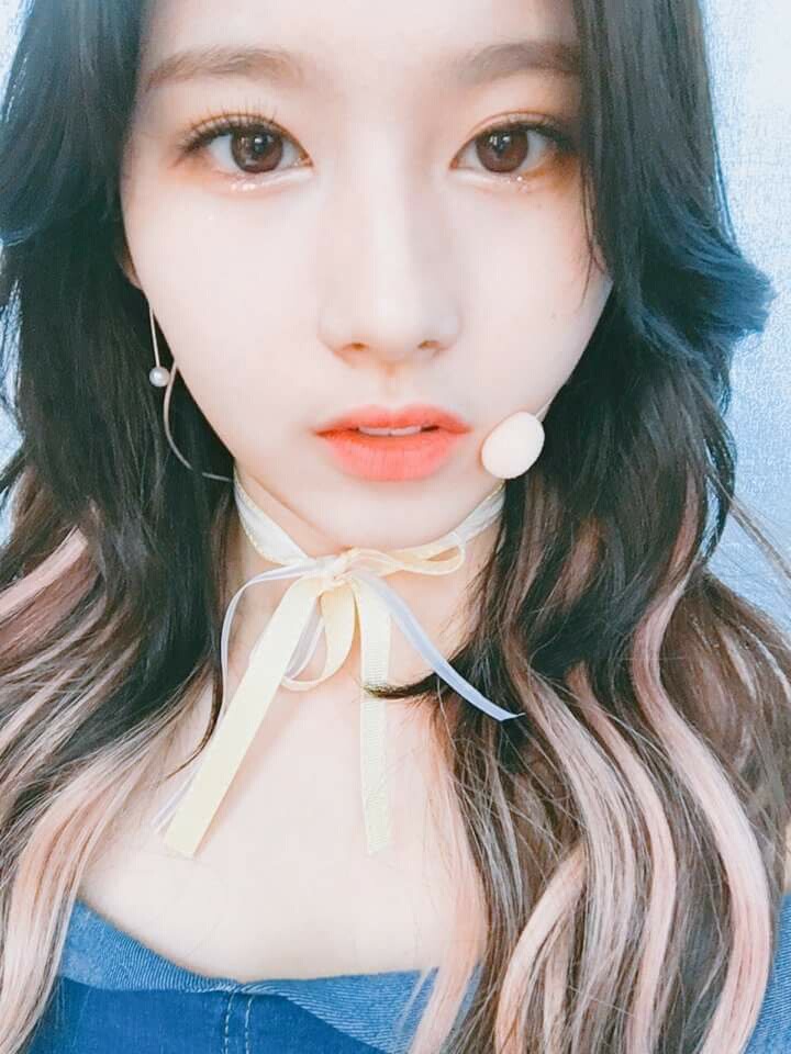 트와이스 사나 | 인스티즈