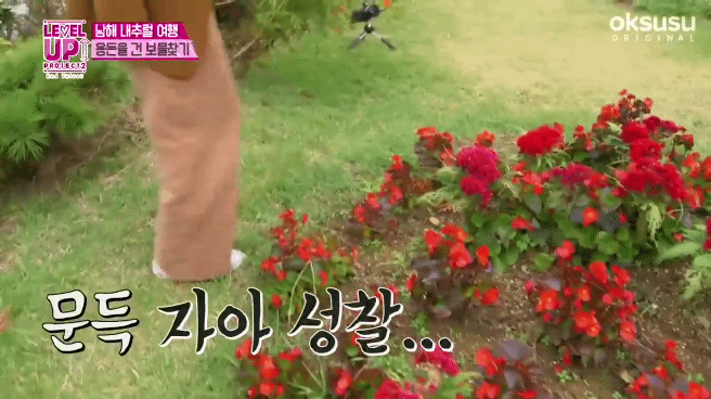 보물찾기하는 슬기.gif | 인스티즈