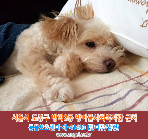 방아골 이미지