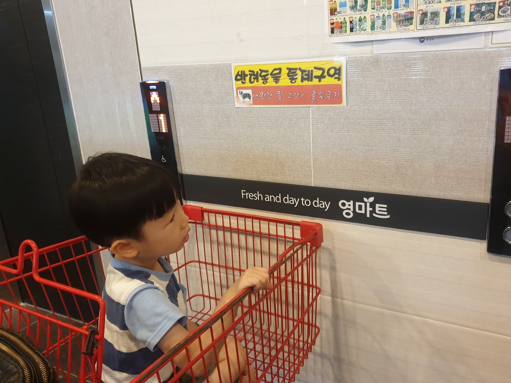 영마트 이미지