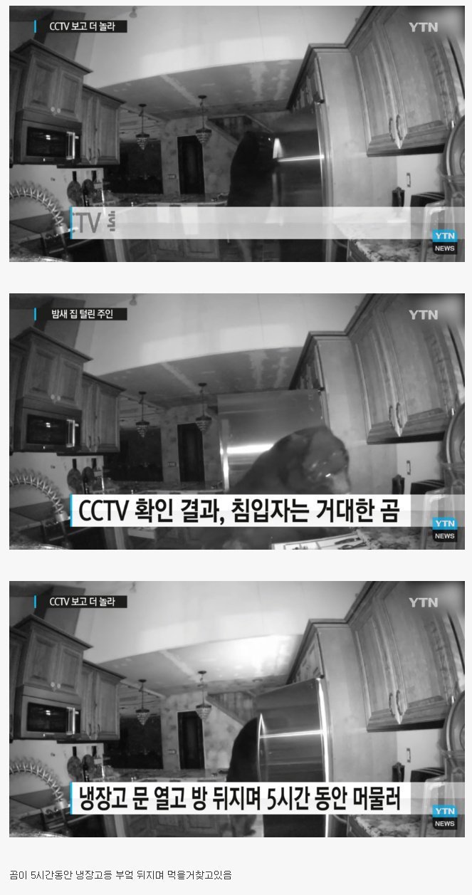 공포의 침입자.jpg | 인스티즈