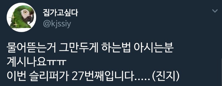 물어뜯는거 그만두게 하는 는 법 아시나요(앵무새) | 인스티즈