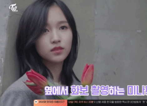 트와이스의 미모 원탑은? | 인스티즈