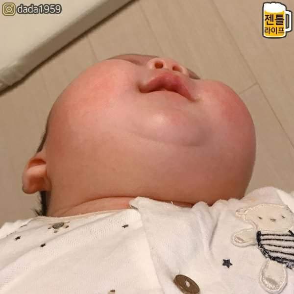 아기들의 통통한 볼살 | 인스티즈