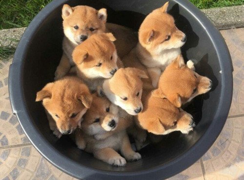 개판이네 | 인스티즈