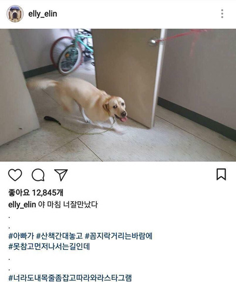 개스타그램 이미지