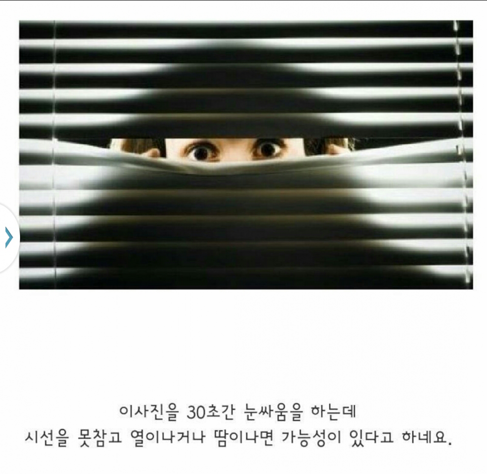 [깨름칙함주의] 시선공포증 테스트 | 인스티즈