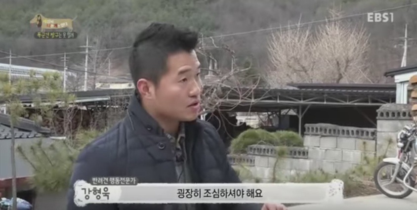 관리 못하겠으면 키우지도 마라 | 인스티즈