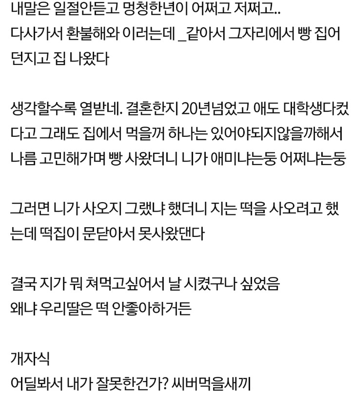 은 남편놈때문에 집나욌다.jpg | 인스티즈
