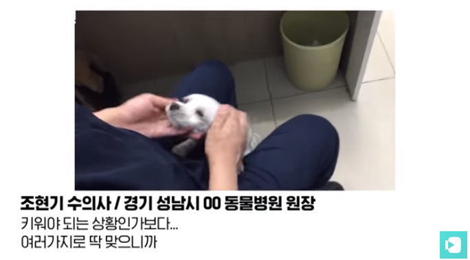 폭염 속 버려진 똘똘이가 모니로 개명한 사연 | 인스티즈