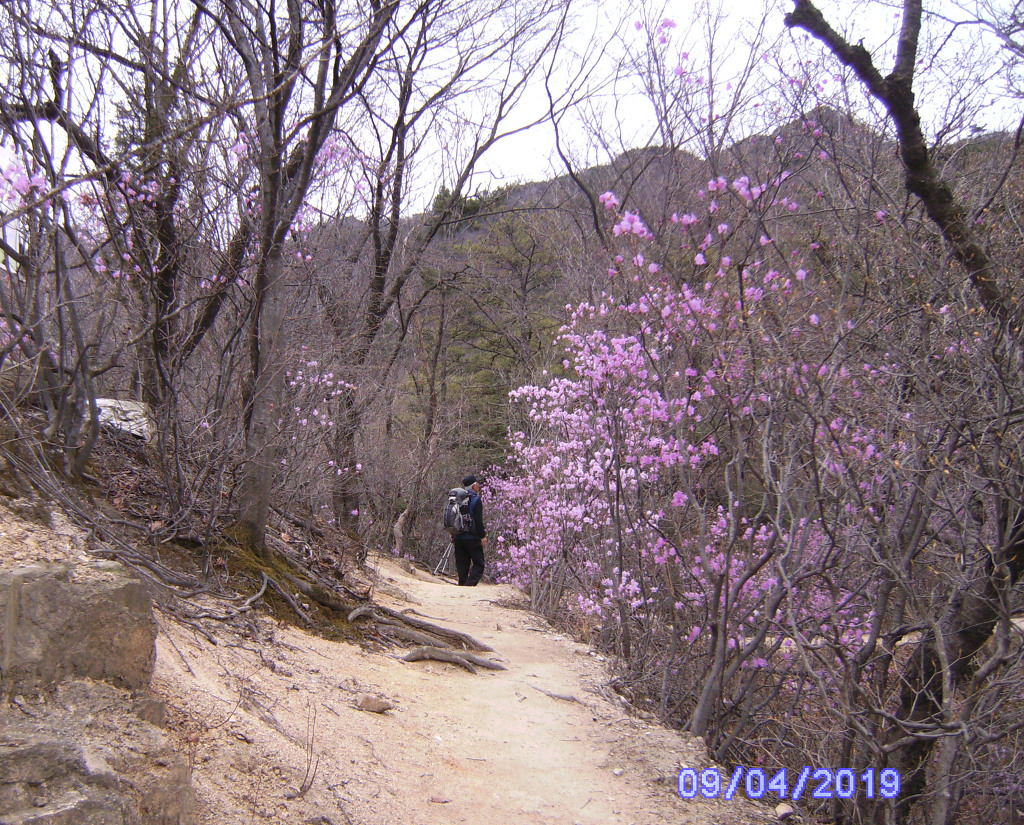 우이산장 이미지