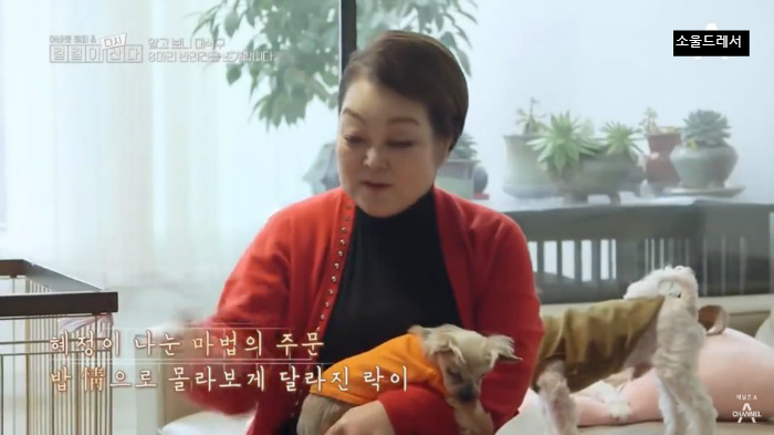  빅마마 이혜정의 스트릿출신 반려견들 (귀여움주의) | 인스티즈