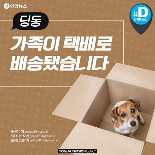 택배 상자 안에서 죽어가는 반려동물들 | 인스티즈