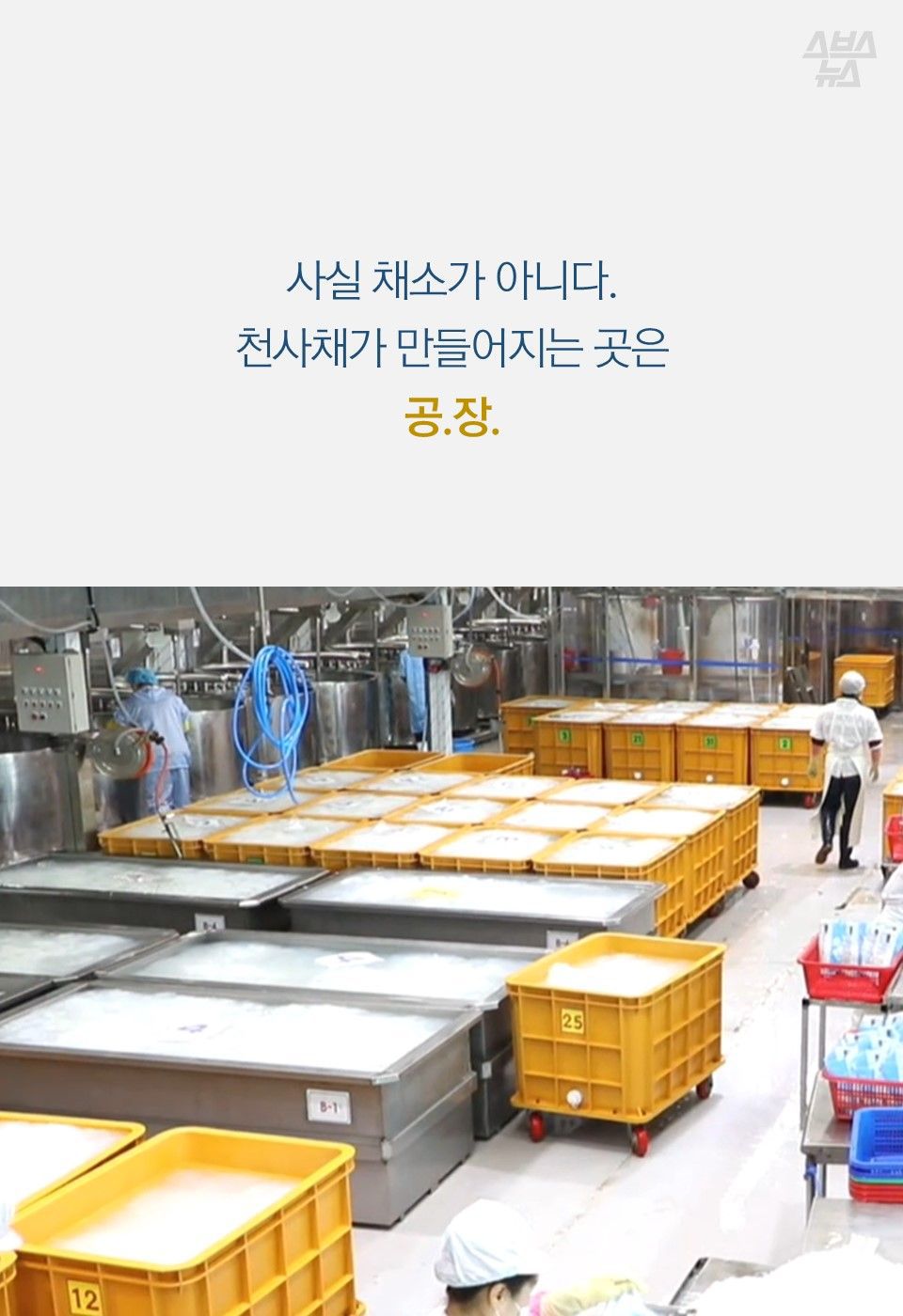 회 밑에 까는 '천사채' 먹어도 될까?…개발자에게 물어봤다 | 인스티즈