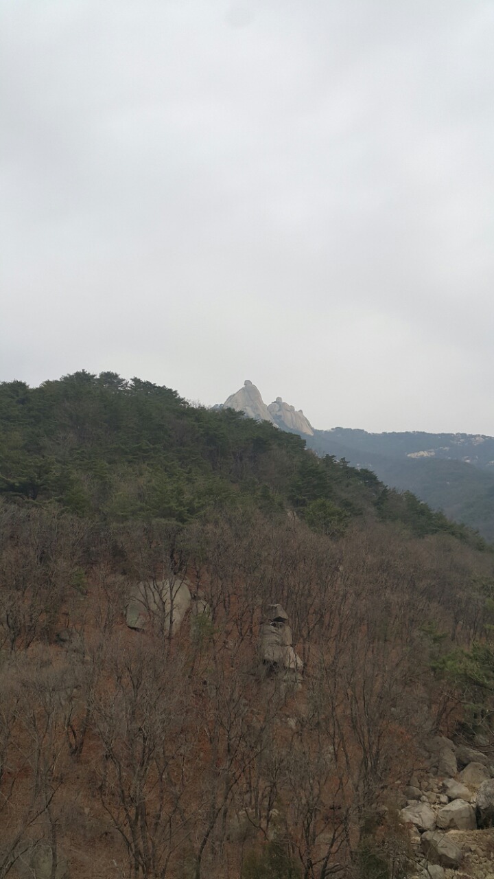 제사모 이미지