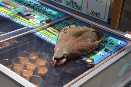 더위에 지친 새찡...jpg | 인스티즈
